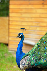 Similar image 7661596