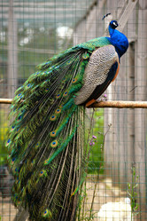 Similar image 7661597