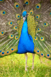 Similar image 7661604