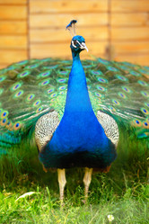 Similar image 7661610