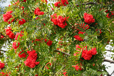 Similar image 7661635