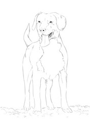 Similar image 7661653