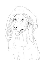 Similar image 7661655