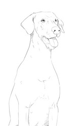 Similar image 7661662