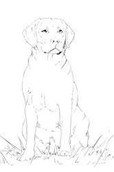 Similar image 7661664