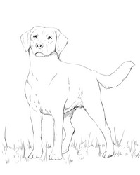 Similar image 7661665