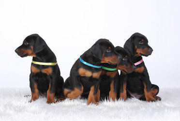 Similar image 7661672