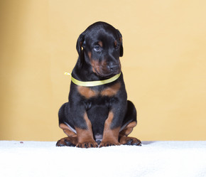 Similar image 7661680