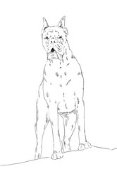 Similar image 7661683