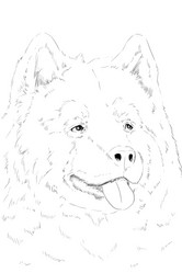 Similar image 7661685