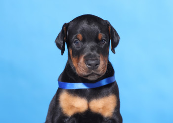 Similar image 7661689