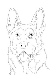 Similar image 7661696