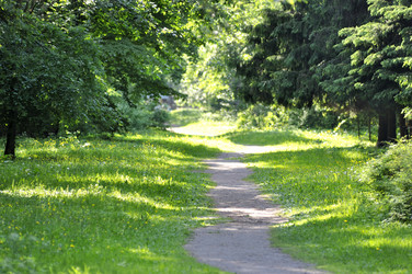 Similar image 7661706