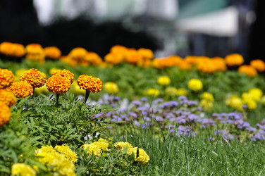 Similar image 7661713