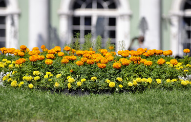 Similar image 7661714