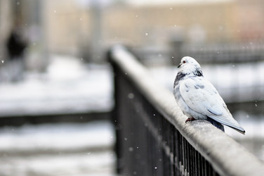 Similar image 7661717