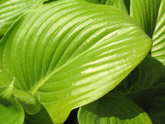 Similar image 7661753