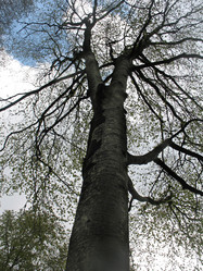 Similar image 7661756