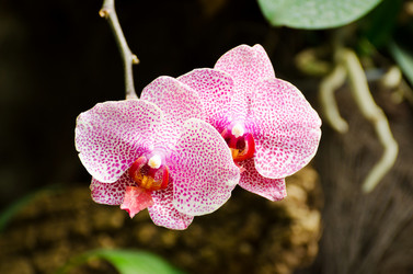 Similar image 7661801