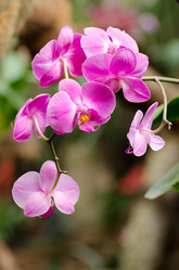 Similar image 7661813