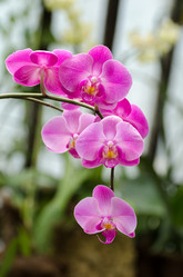 Similar image 7661814