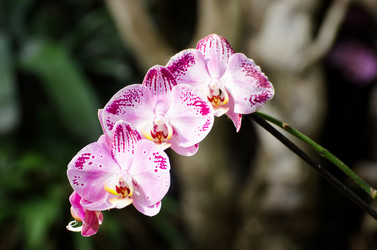 Similar image 7661815