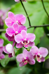 Similar image 7661816