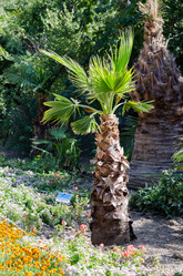 Similar image 7661818