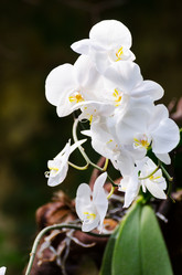 Similar image 7661819