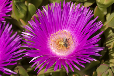 Similar image 7661839