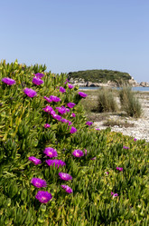 Similar image 7661840