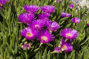 Similar image 7661841