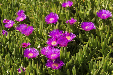 Similar image 7661842