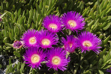 Similar image 7661843