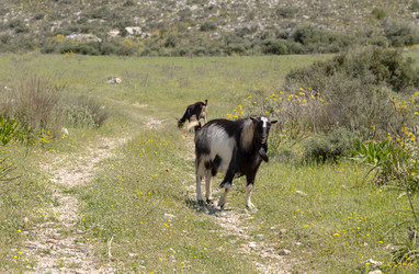 Similar image 7661844