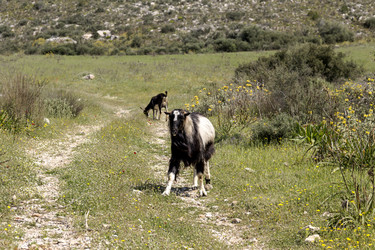 Similar image 7661845