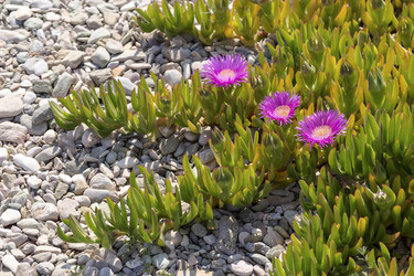 Similar image 7661846