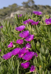 Similar image 7661849