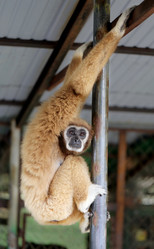 Similar image 7661878