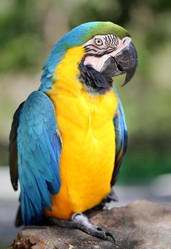 Similar image 7661881