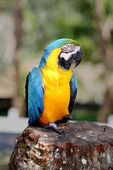 Similar image 7661883