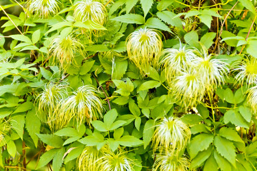 Similar image 7661887