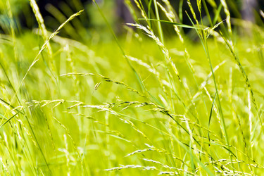 Similar image 7661898