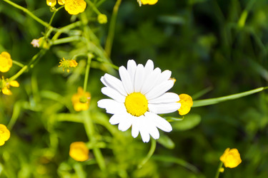 Similar image 7661900