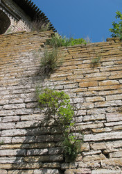 Similar image 7662103