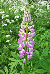 Similar image 7662153