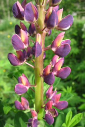 Similar image 7662166