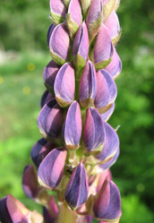 Similar image 7662183