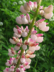 Similar image 7662184