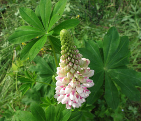 Similar image 7662185